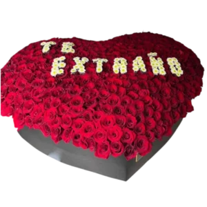 Gran Corazón de Rosas Rojas "Te Extraño"
