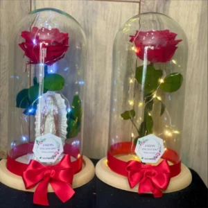 Rosas Rojas Preservadas en Domo con Lazos