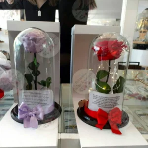Rosas Preservadas en Domo con Presentación de Regalo