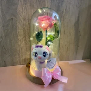 Rosa Preservada con Peluche de Gatito