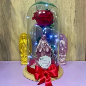 Rosa Roja Eterna en Domo con Figura