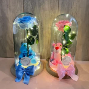 Pareja de Rosas Eternas con hermosos peluches