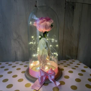 Rosa Rosada Preservada en Domo con Luces