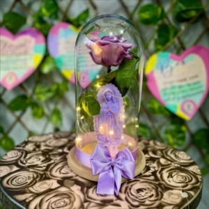 Rosa Morada Preservada con Figura y Luces