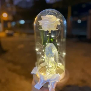 Rosa Blanca Eterna en Domo Iluminado
