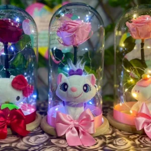 Rosa Preservada en Domo con Luz LED y Peluche