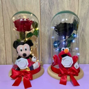 Rosas Preservadas en Domo con Peluches y Luces